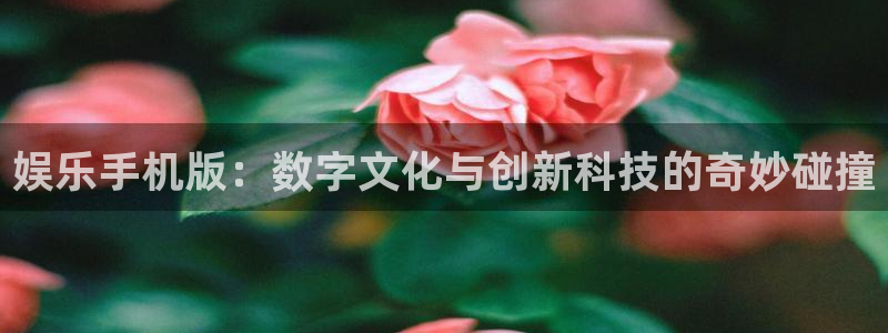 长征娱乐平台注册