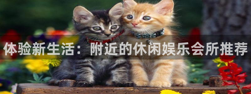 长征娱乐主管